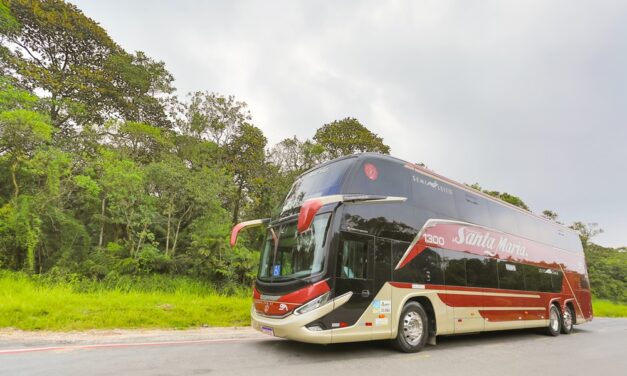 Destaque no fretamento e em linhas regulares