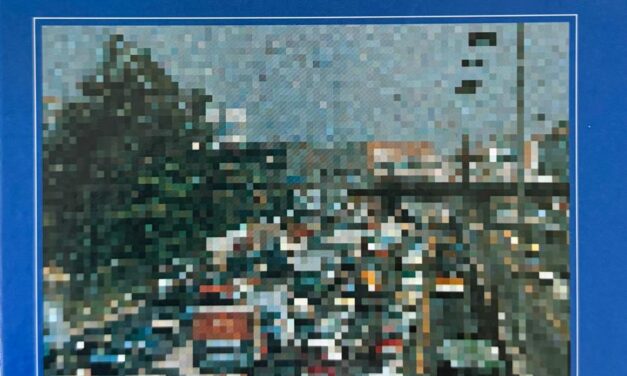 Comprei um livro físico sobre transporte público!!