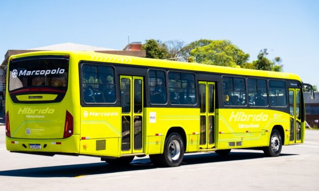 Conceito verde e amarelo