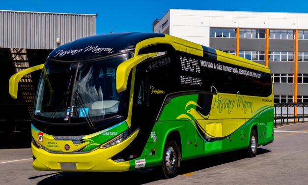 Marcopolo fornece novos ônibus para sua cliente Pássaro Marron