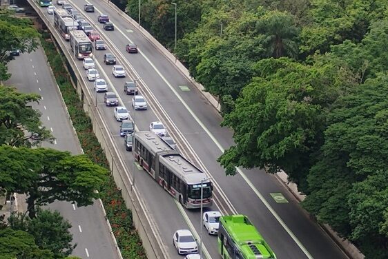 O que há nas entrelinhas 1