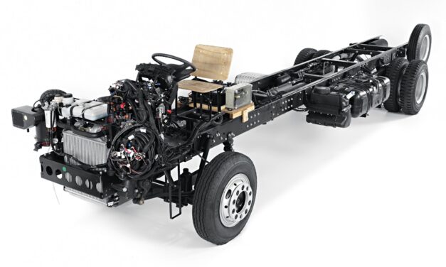 Um verdadeiro pé de boi