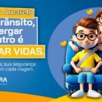 Cinto de segurança é questão de sobrevivência