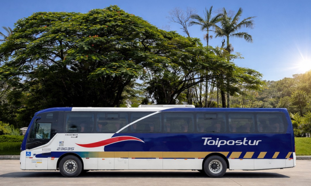 Fretamento e linhas seletivas preferem o El Buss FT