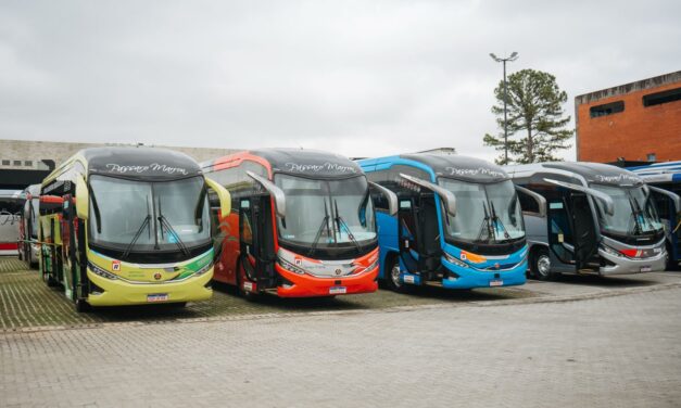 Pássaro Marron abre suas portas