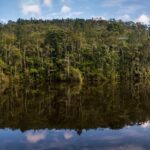 Preocupação com a sustentabilidade que vai além da operação