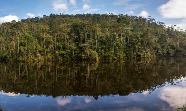 Preocupação com a sustentabilidade que vai além da operação