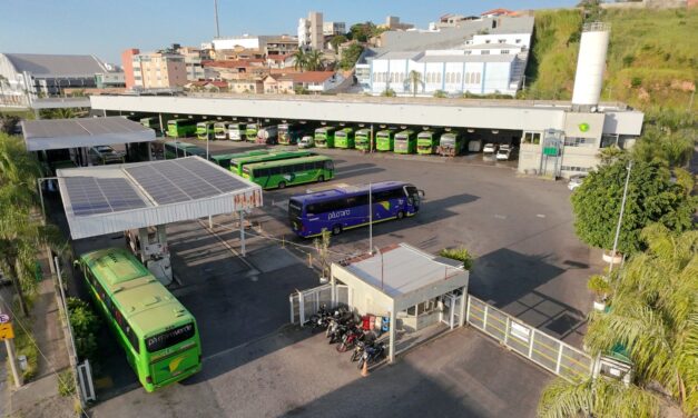 Pássaro Verde irá renovar sua frota com Mercedes-Benz