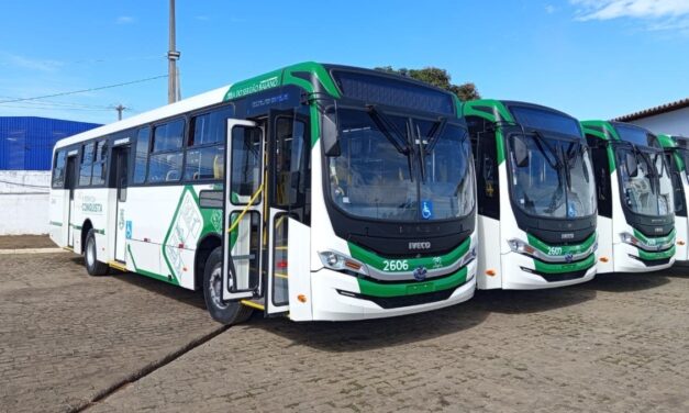 Viação Rosa reforça sua frota com ônibus Iveco